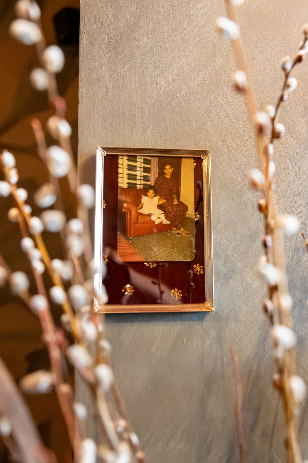 Personal photograph among pussy willows